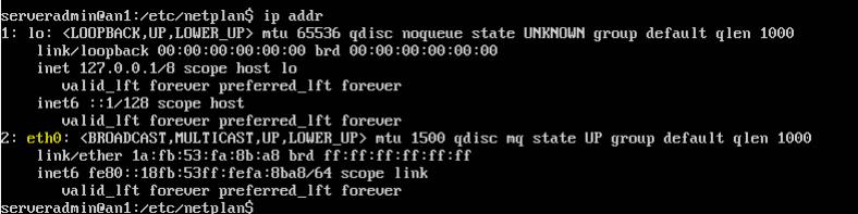 5ed596c72ff92.jpg